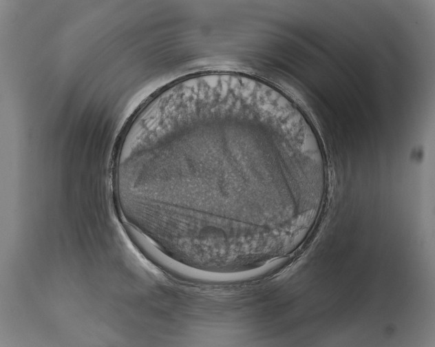 X0000114421141200911131445