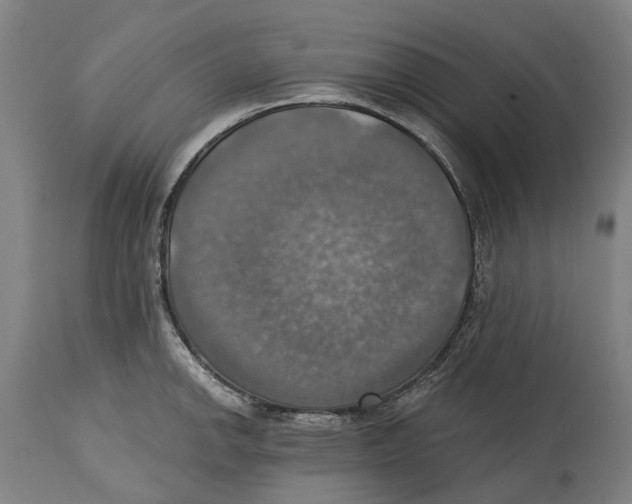 X0000114421142200911131445