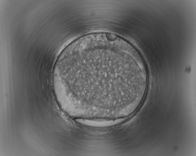 X0000114421145200911131445