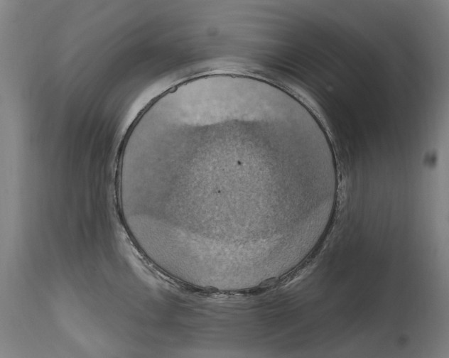 X0000114421146200911131445