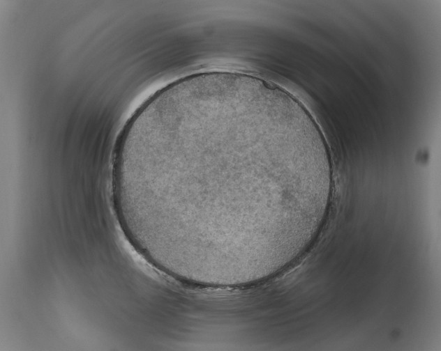 X0000114421147200911131445