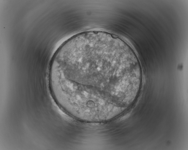 X0000114421149200911131445