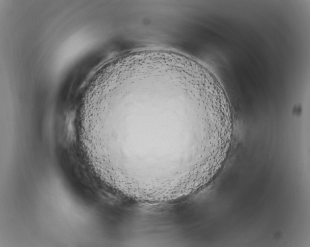 X0000114421150200911131445