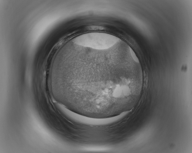 X0000114421151200911131445