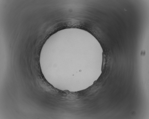 X0000114421153200911131445