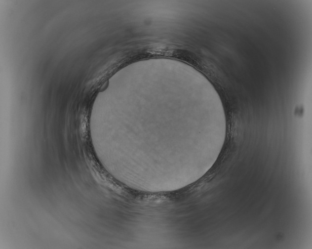 X0000114421154200911131445