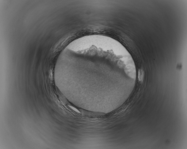 X0000114421155200911131444