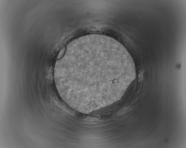 X0000114421156200911131444