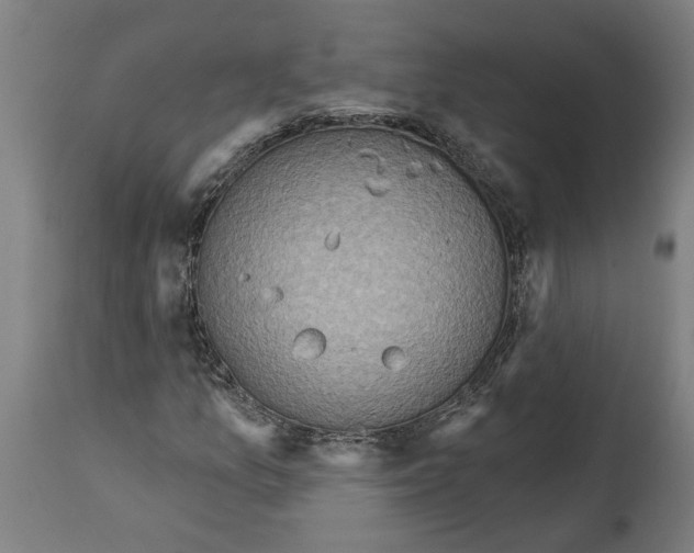 X0000114421157200911131444