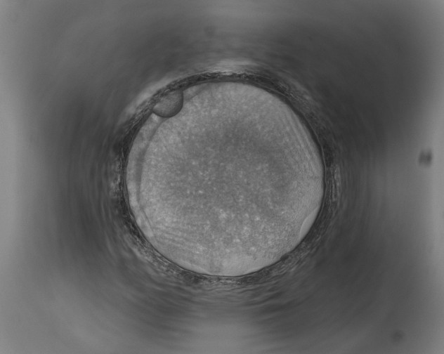 X0000114421158200911131444