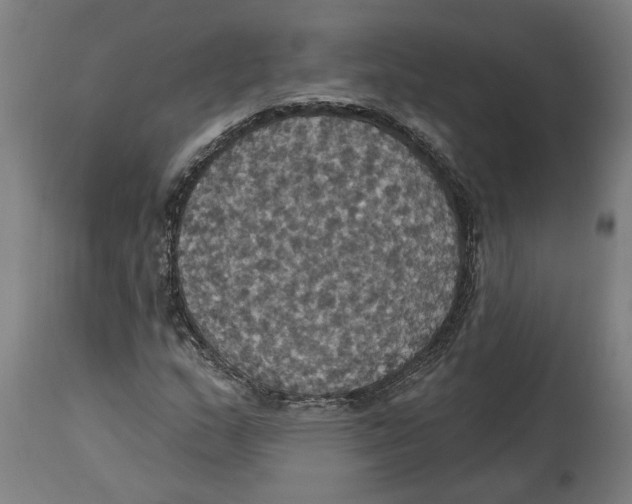 X0000114421159200911131444