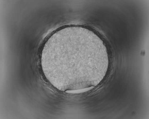 X0000114421160200911131444