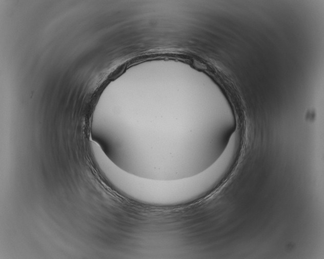 X0000114421161200911131444