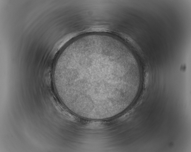 X0000114421162200911131444