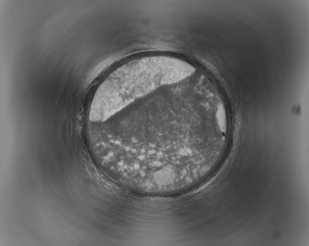 X0000114421163200911131444