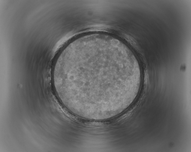 X0000114421164200911131444