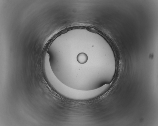 X0000114421165200911131444