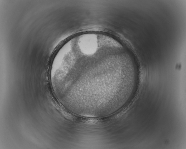 X0000114421166200911131444