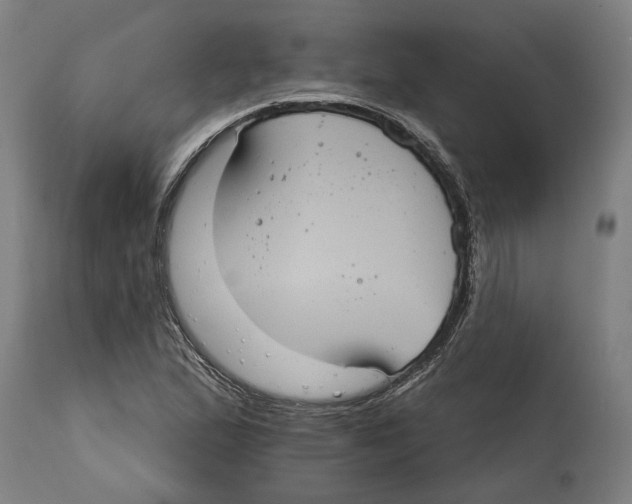 X0000114421167200911131444