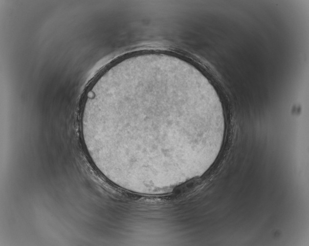 X0000114421168200911131444