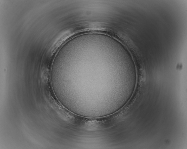 X0000114421169200911131444