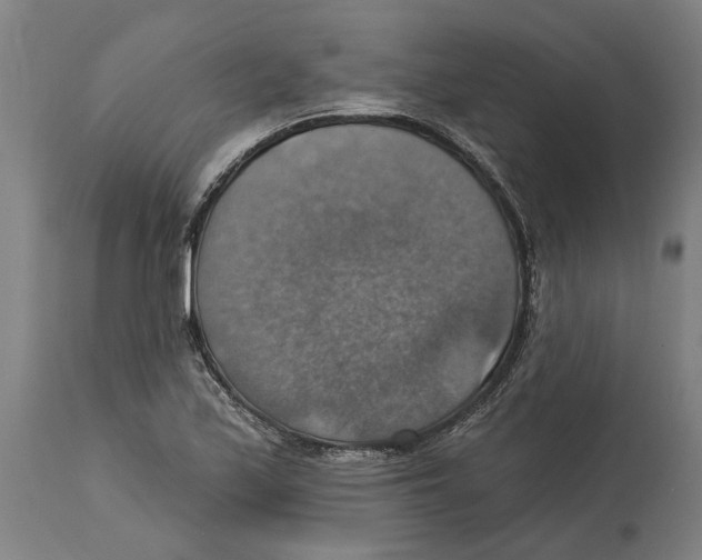 X0000114421171200911131444