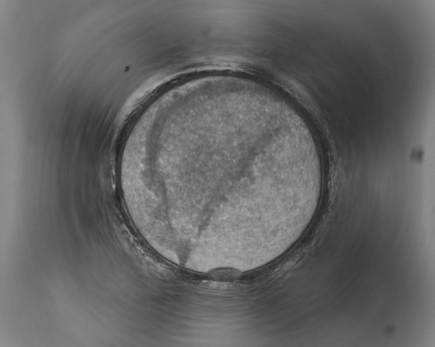 X0000114421172200911131444