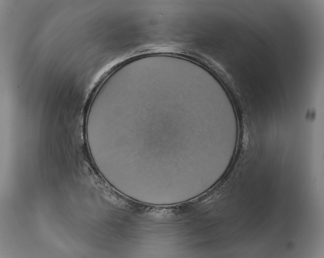 X0000114421174200911131444