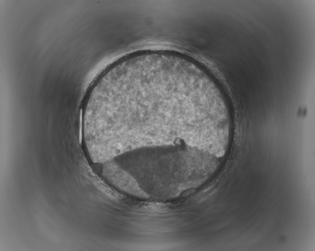 X0000114421175200911131444