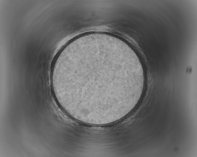 X0000114421176200911131444