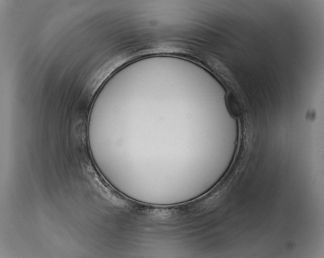 X0000114421177200911131444