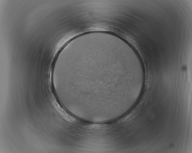 X0000114421179200911131444