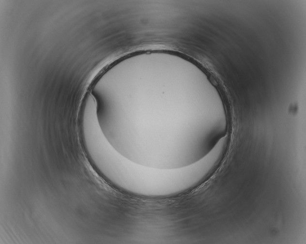 X0000114421181200911131444