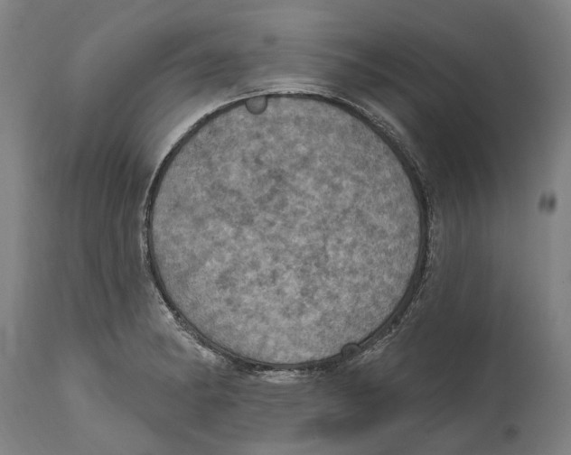 X0000114421182200911131444