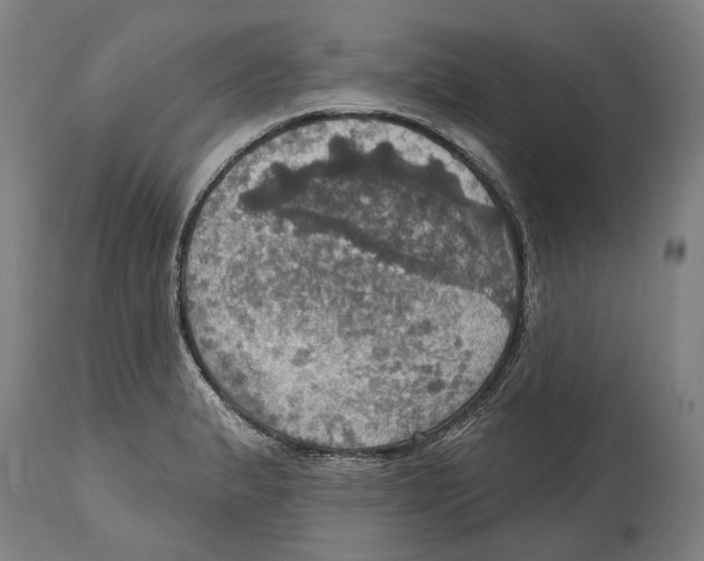 X0000114421183200911131444