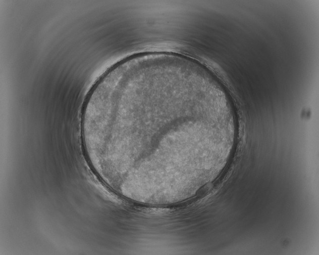 X0000114421184200911131444