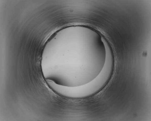 X0000114421185200911131444