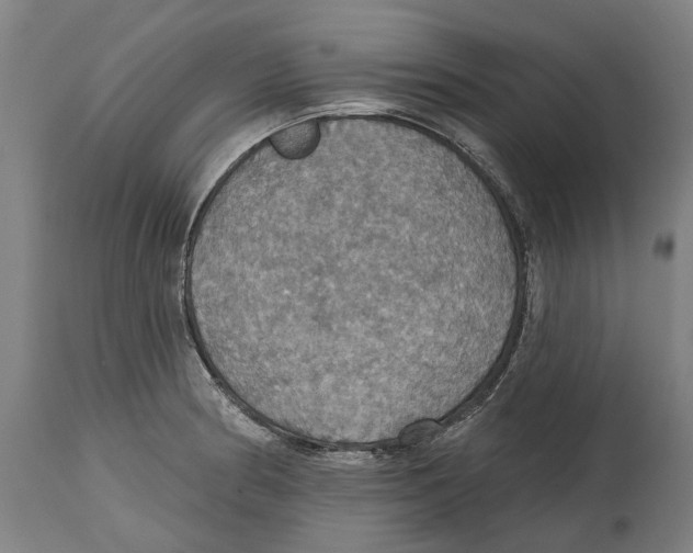 X0000114421186200911131444