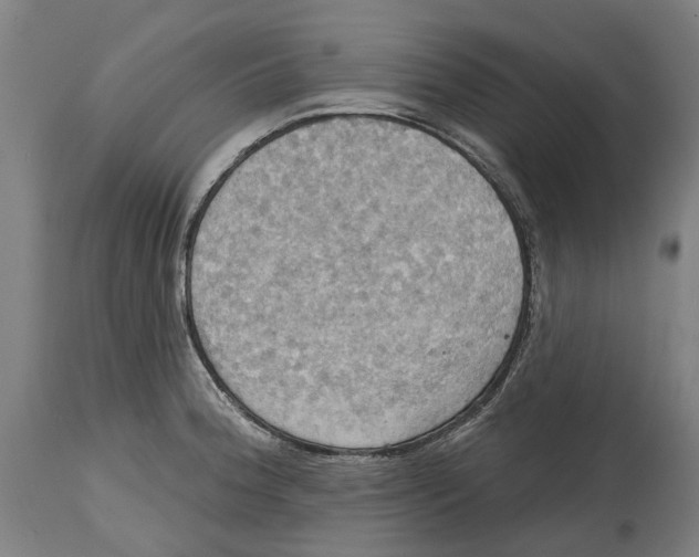 X0000114421188200911131444