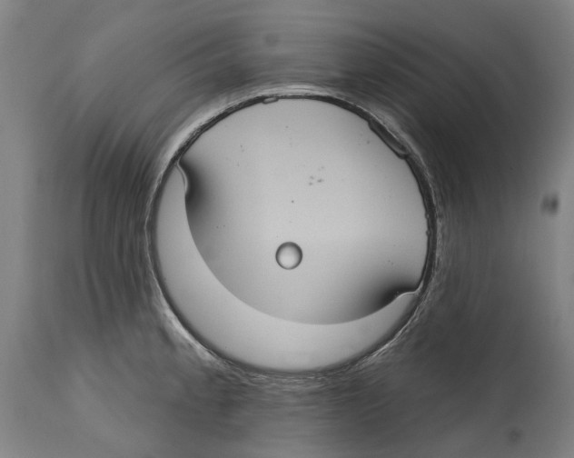 X0000114421189200911131444