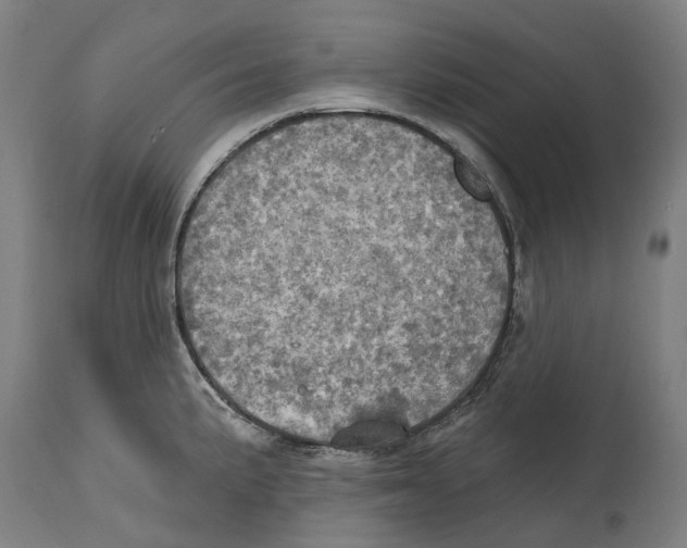 X0000114421191200911131444