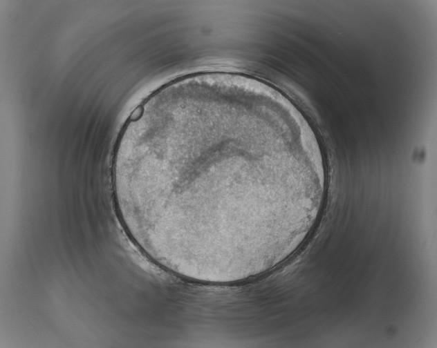 X0000114421192200911131444