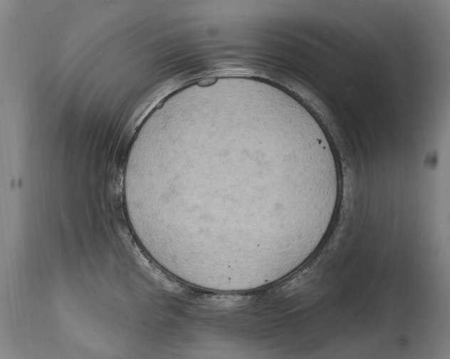 X0000114421193200911131444