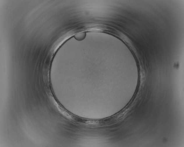 X0000114421194200911131444