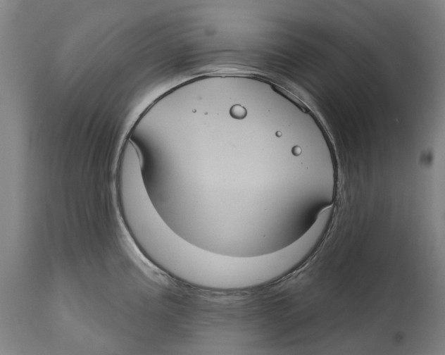 X0000114421195200911131444