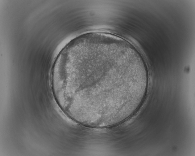 X0000114421196200911131444