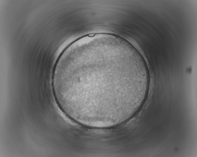 X0000114421197200911131444