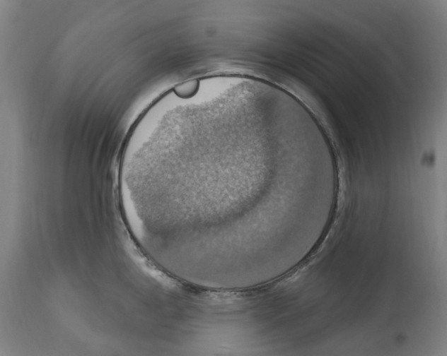 X0000114421198200911131444