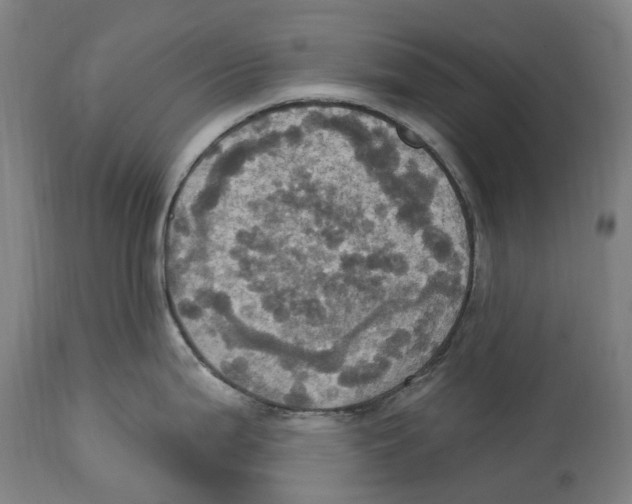 X0000114421199200911131444