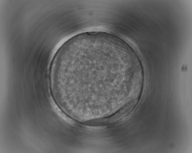 X0000114421200200911131444